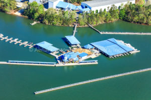 Port Royale Marina-Lake Lanier